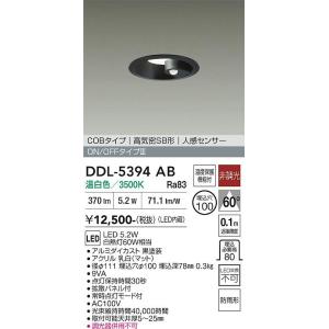 大光電機 DDL-6134YW DAIKO 【メーカー直送】 ダウンライト 防雨形