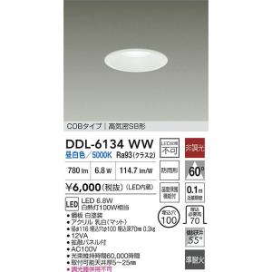 大光電機 安心のメーカー保証 【送料無料】DDL-6132YW LED 屋外灯