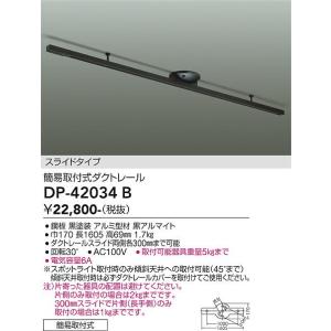 大光電機 ダクトレール用スポットライト DSL4901ABG : プリズマヤフー