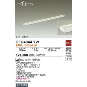 安心のメーカー保証【送料無料】大光電機 DSY-4844YW ベースライト 