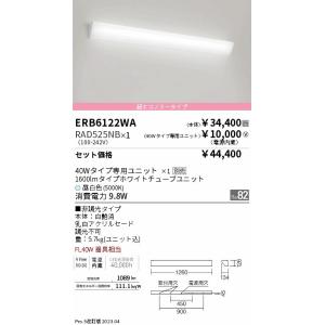 安心のメーカー保証【インボイス対応店】 遠藤照明 ERB6122WA+RAD-525NB 『ERB6122WA＋RAD525NB』 ブラケット 一般形 LED Ｎ区分｜koshinaka