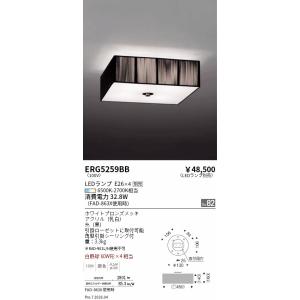 ODELIC（オーデリック） OD261738RS LEDダウンライト : でんきサロンま