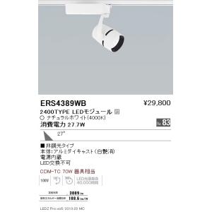 遠藤照明 Ers43wb スポットライト 爆買い送料無料 Led
