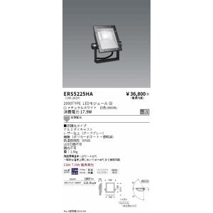 安心のメーカー保証【ご注文合計25,001円以上送料無料】【インボイス対応店】 遠藤照明 ERS52...