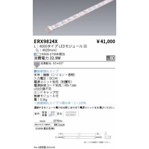 【ご注文合計25,001円以上送料無料】 遠藤...の詳細画像1