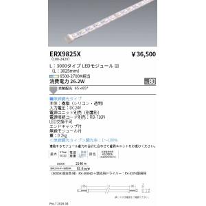 遠藤照明 ダクトレール用スポットライト SXS3025BB : アート