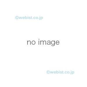 交換ｏｋ の岩崎電気照明器具 オプション Exwp1mte Exwp1mte 照明 電球 オプション Exwp1mte 照明器具と住まいのこしなか 上品ラッピング無料 の