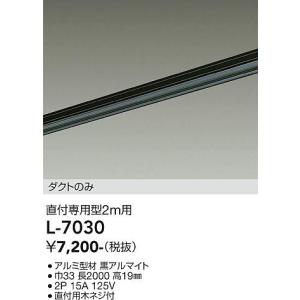安心のメーカー保証【インボイス対応店】【ご注文合計25,001円以上送料無料】宅配便不可 大光電機 L-7030 配線ダクトレール レールのみ≪在庫確認後即納可能≫