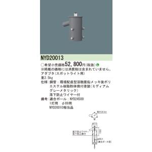 Ｎ区分 パナソニック施設照明器具 NYD20013 オプション