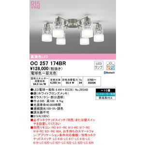 ODELIC（オーデリック） 安心のメーカー保証 OC257174LR（ランプ別梱包