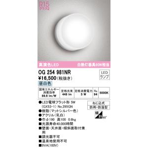 ODELIC（オーデリック） オーデリック照明器具 ポーチライト 軒下使用