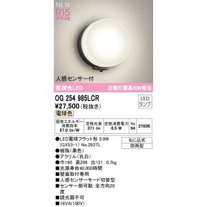 ODELIC 安心のメーカー保証 OG254985LCR（ランプ別梱包