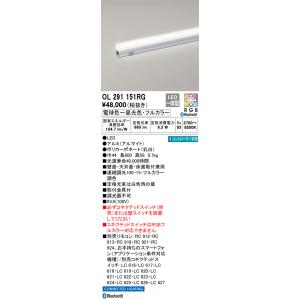 ODELIC（オーデリック） N区分オーデリック照明器具 OL291573R2M