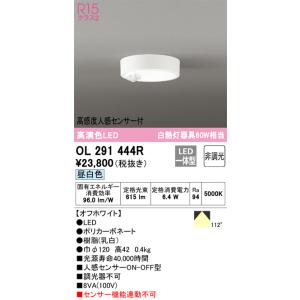オーデリック　OL 291 570R1E ODELIC オーデリック シーリングライト 【OL291444R】【OL 291