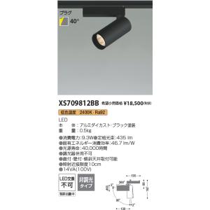 安心のメーカー保証【ご注文合計25,001円以上送料無料】Ｔ区分 コイズミ照明器具 XS709812...