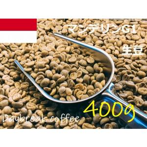 コーヒー生豆　マンデリンG1　400ｇ　送料無料　グリーンビーンズ