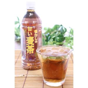 麦茶 武田食品 甘い麦茶 500ml×24本(ケース) (4902057056206)
