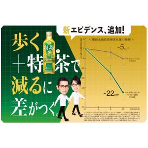 サントリーフーズ 伊右衛門 特茶 500ml×...の詳細画像4