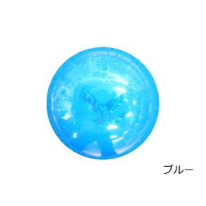 エアー・プラス・ビクトリー (A.C.O/エア...の詳細画像3
