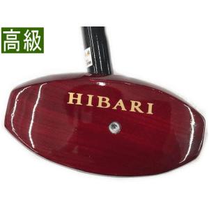 フリッチ テクトン12 110mmブレーキ付き バックカントリー 金具