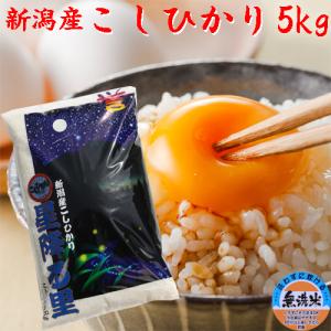 米 無洗米 5kg 令和7年 新潟産 コシヒカ...の詳細画像1