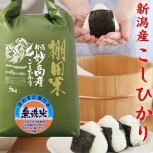 令和7年 新潟産 棚田米 コシヒカリ 5kg ...の詳細画像1