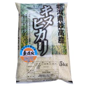 令和4年 新潟産 キヌヒカリ 無洗米 5kg 新潟県産 お米 5kg 無洗米 農家直送 生産者 新潟 米