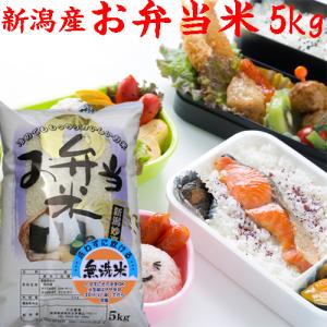 米 無洗米 5kg 令和7年 新潟産 お弁当米...の詳細画像1