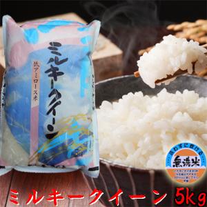 米 無洗米 5kg 令和7年 新潟産 ミルキー...の詳細画像1