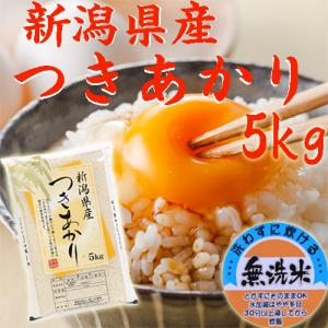無洗米 5kg 令和7年 新潟県産 つきあかり...の詳細画像1