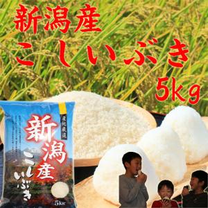 新米 令和8年 新潟産 こしいぶき 米 5kg...の詳細画像1