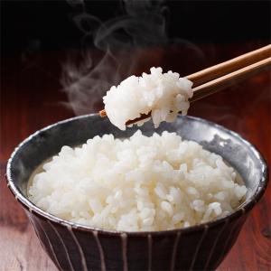 新米 令和8年 新潟産 こしいぶき 米 5kg...の詳細画像4