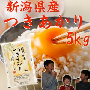 米 5kg 令和7年 新潟産 つきあかり 白米...の詳細画像1