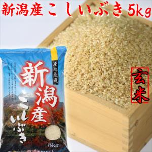 令和7年 新潟産 こしいぶき 玄米 5kg 5...の詳細画像1