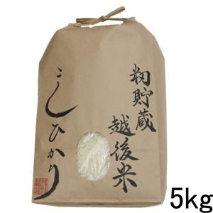 米 お米5kg  籾貯蔵・越後米コシヒカリ5kg 特Ａ 新潟県産 白米 分づき 令和4年 新潟県産コシヒカリ｜kosihikari