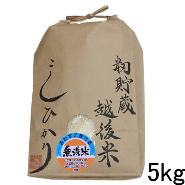 籾貯蔵・越後米 コシヒカリ 5kg 無洗米 新潟県産 令和5年 今づり米 籾保存 米