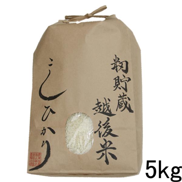 米 お米5kg  籾貯蔵・越後米コシヒカリ5kg 新潟県産 白米 分づき 令和5年 新潟県産コシヒカ...