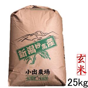 新米 玄米 令和5年 新潟産 コシヒカリ 玄米 25kg 送料無料 新潟県産 コシヒカリ 25キロ 玄米 農家直送 お得用米  新潟県産こしひかり玄米 25キロ｜kosihikari