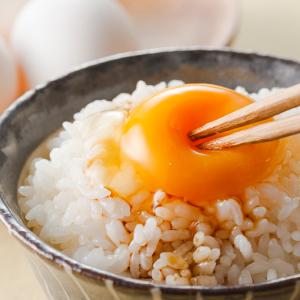 米 5分づき 胚芽米 令和7年 新潟産 こしい...の詳細画像5