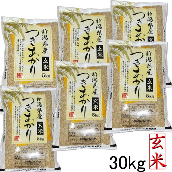 新米 令和7年 新潟産 つきあかり 玄米 30kg 送料無料 お米 新潟県産 玄米 米30キロ 安い...