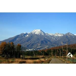 令和7年 新潟県産 つきあかり 無洗米 30k...の詳細画像2