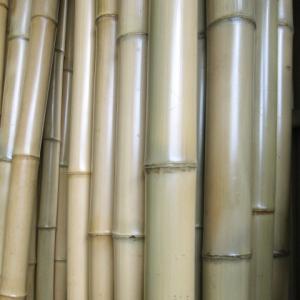 直材】あぶり晒竹（晒竹）直径4〜4.9cm 長さ1.5m 1本 : 越川竹材工業