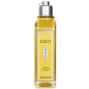 BLEU DE CHANEL 【並行輸入品】シャネル ブルー ドゥ シャネル ボディ