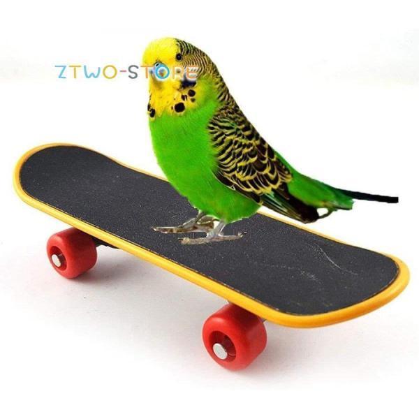 鳥 おもちゃ オウム 立て インコ ミニ スケートボード 鳥玩具 ペット用品 知育教育 訓練 ストレ...