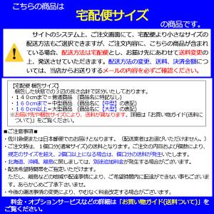JACKSON ATOM SKATES インラ...の詳細画像4