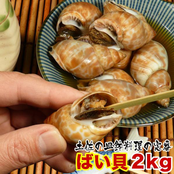 おつまみ 貝 バイ貝 ２ｋｇ 生冷凍 大容量 業務用 煮つけ 塩ゆで 皿鉢料理 海鮮 食材 お酒 熨...