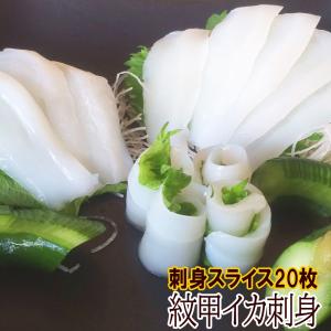 おつまみ イカ 刺身 8ｇ 20枚 （約4人前） 真空パック