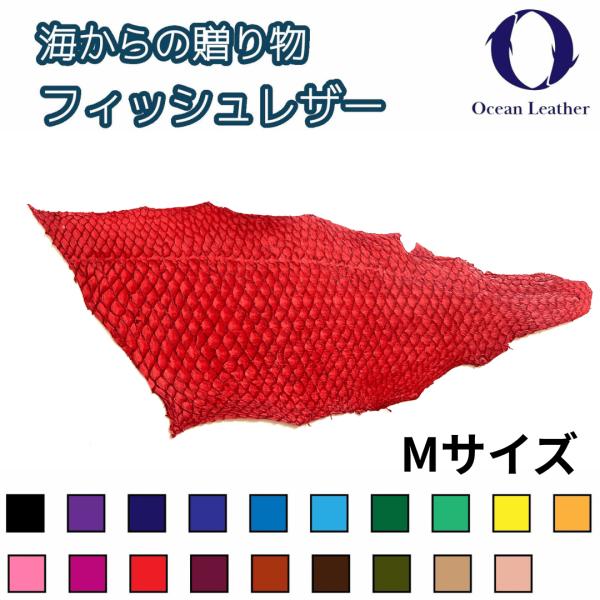 魚皮 真鯛 マダイレザー Mサイズ 高知 送料無料 レザークラフト フィッシュレザー 「全１９色」オ...