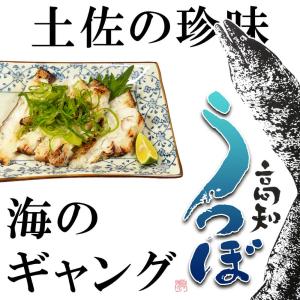 高知県 骨切りうつぼカット 300g 粉なし ...の詳細画像1
