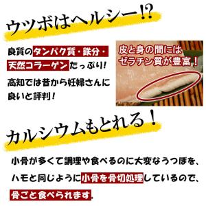 高知県 骨切りうつぼカット 300g 粉なし ...の詳細画像2
